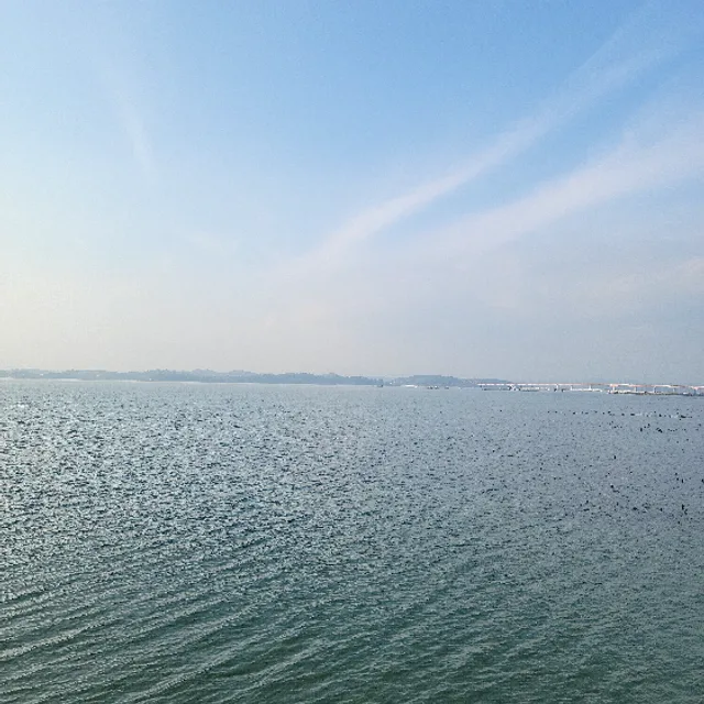 바다