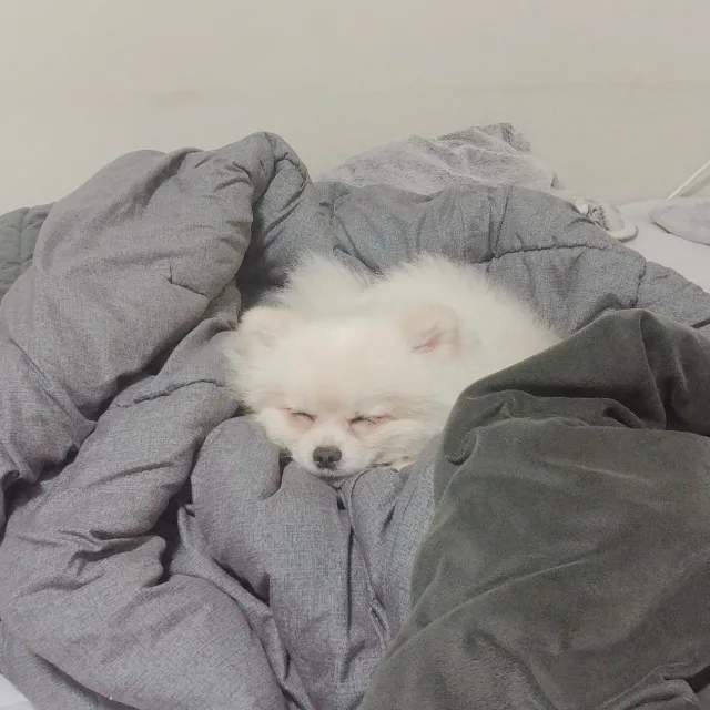 집에가고싶다