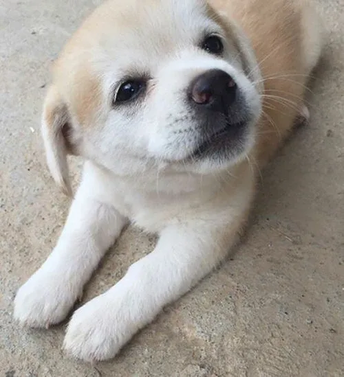 꿈과희망