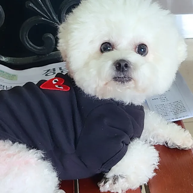 신비