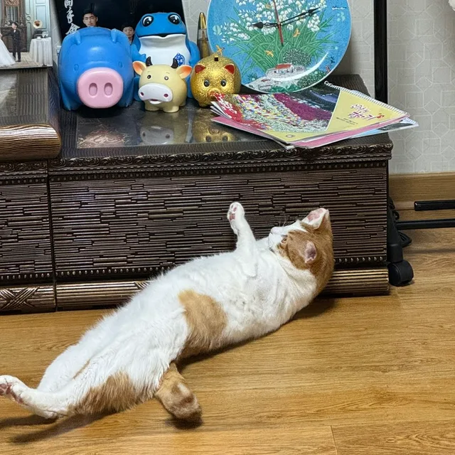 나나애비올시다
