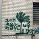 춤을추는나무