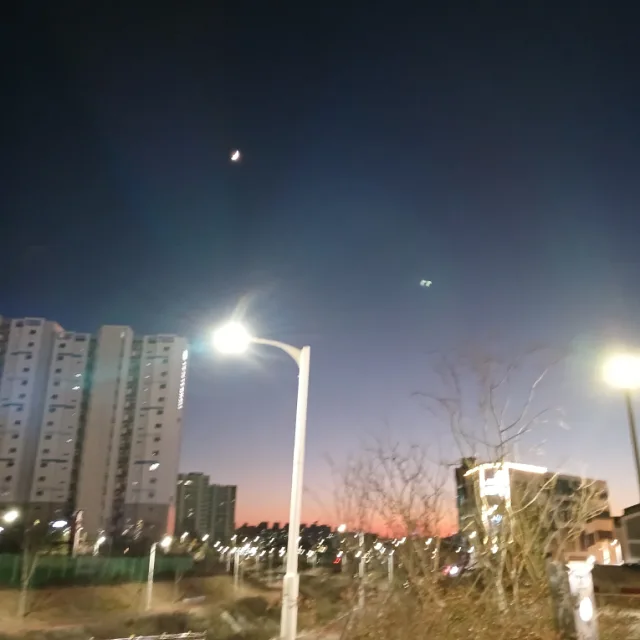 코리