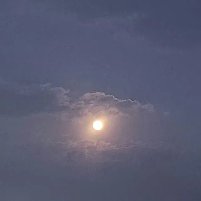 햇님달림