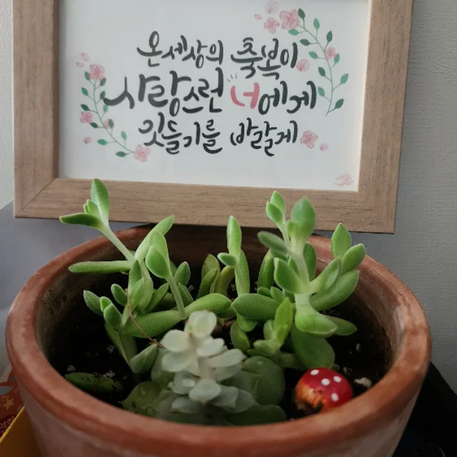 happymom