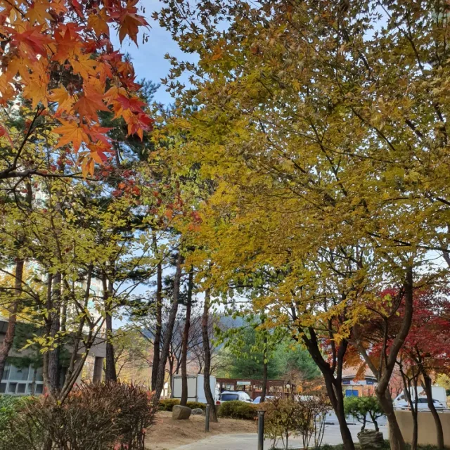 풀꽃