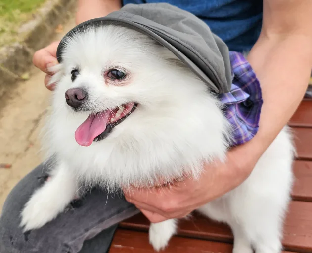 쥴리아정