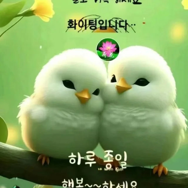 들국화