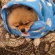 콩이맘