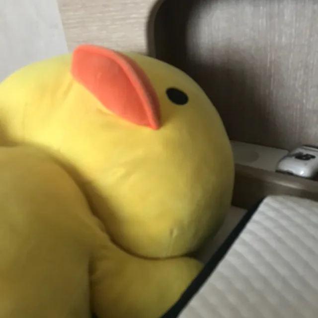 김또치