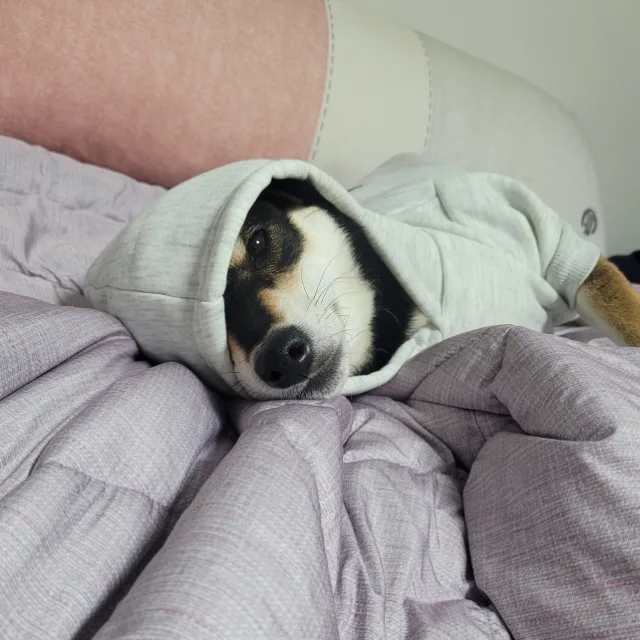 윤또롱