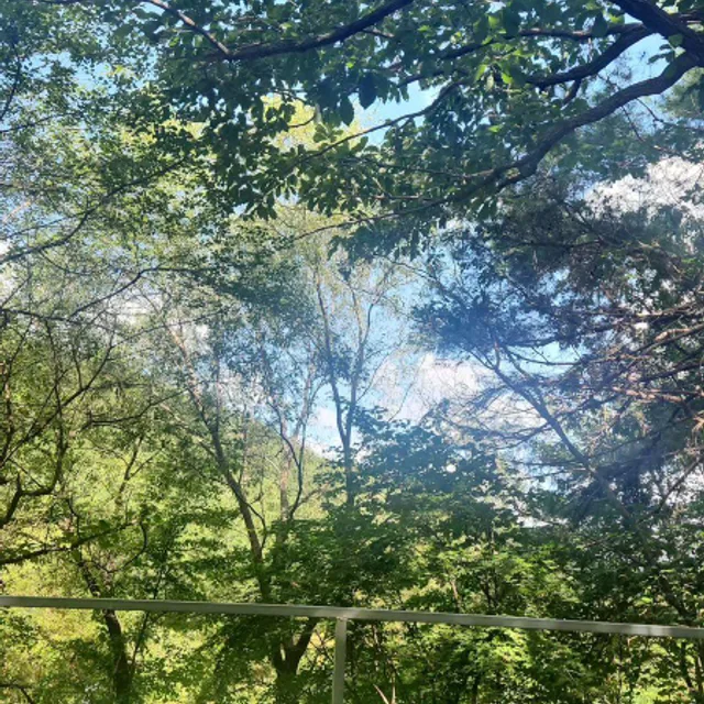 쭈엥