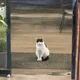 대룡산