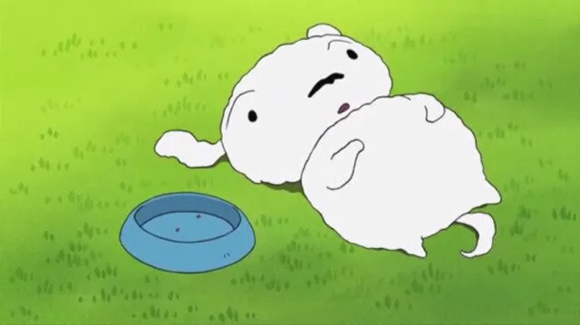 흰둥이