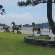 매화