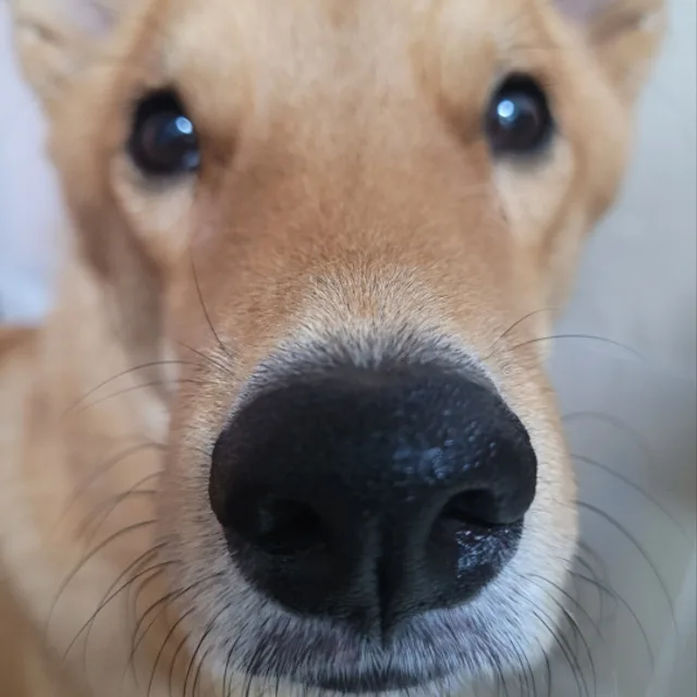 profile