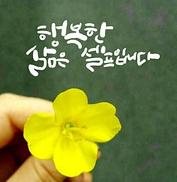 행복은셀프