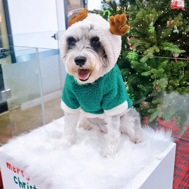 휘영청