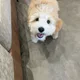 캬캬컄