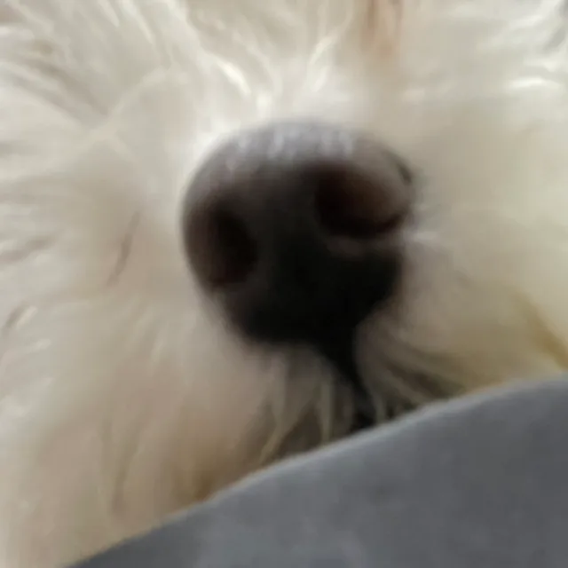 배고파요