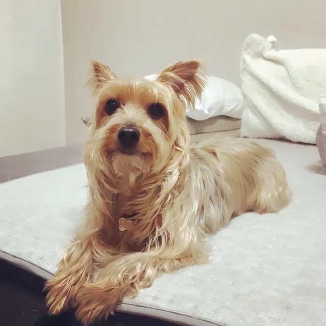 이하늘