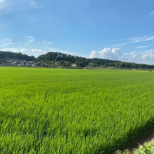 라임