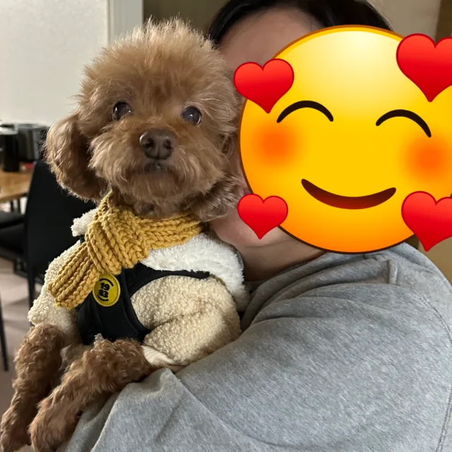 초코맘