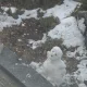 롯데