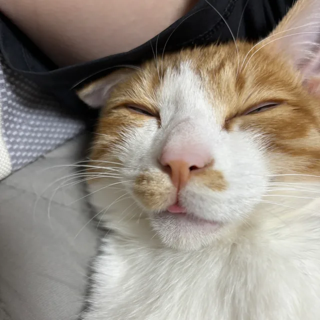 버터