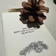 솔방울