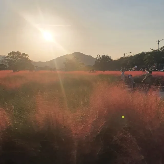 삼남매맘