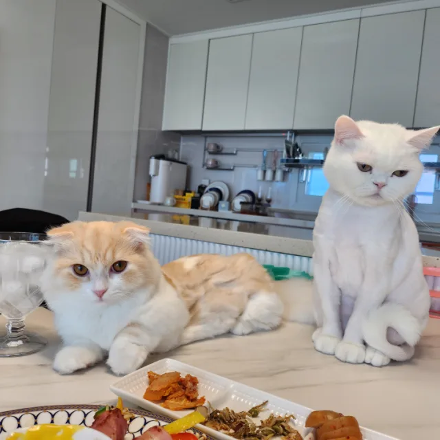 앙꼬