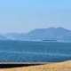 파인트리