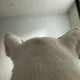 서쿠