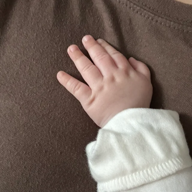 콩쟁이