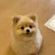 바다