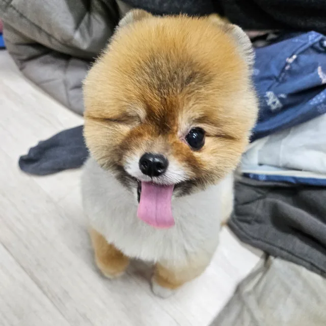 미니멀라이프