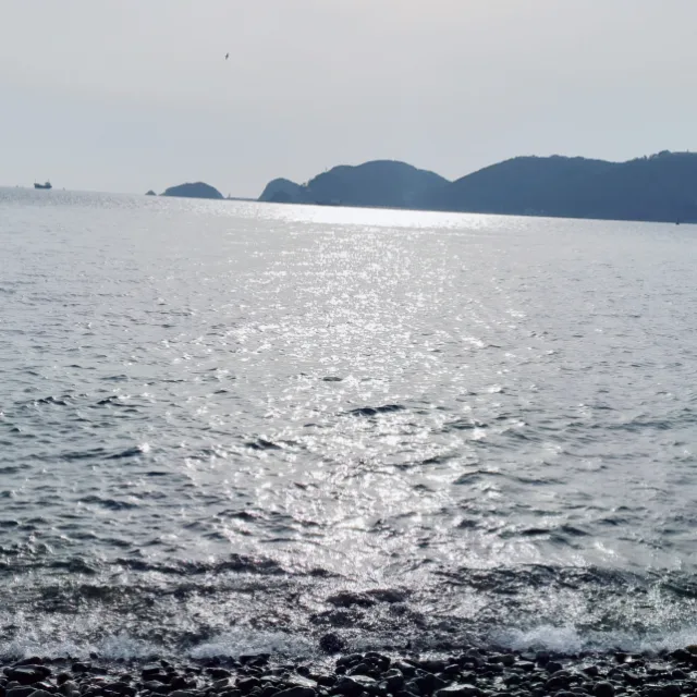 흐르는강물처럼