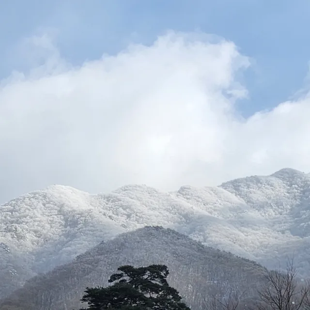 핸섬