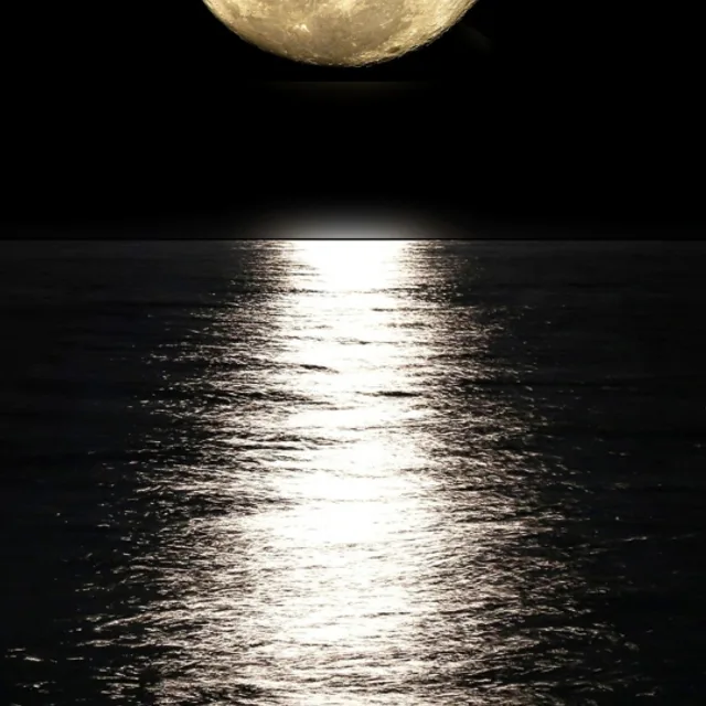 왜이러세요