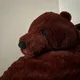노하서소