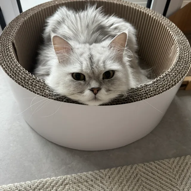 하나