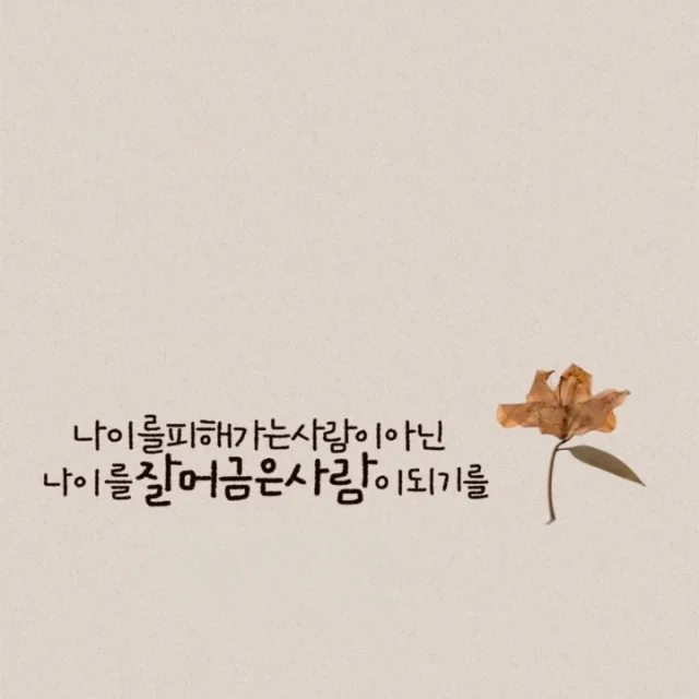 새해맞이
