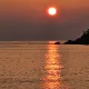 서리모모