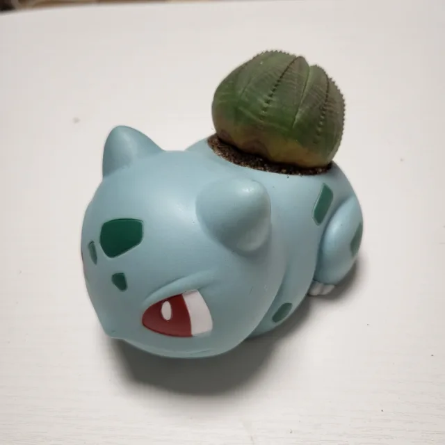 디응겅듀
