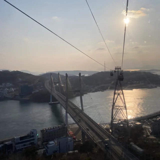 처분이목적이라쌉니다