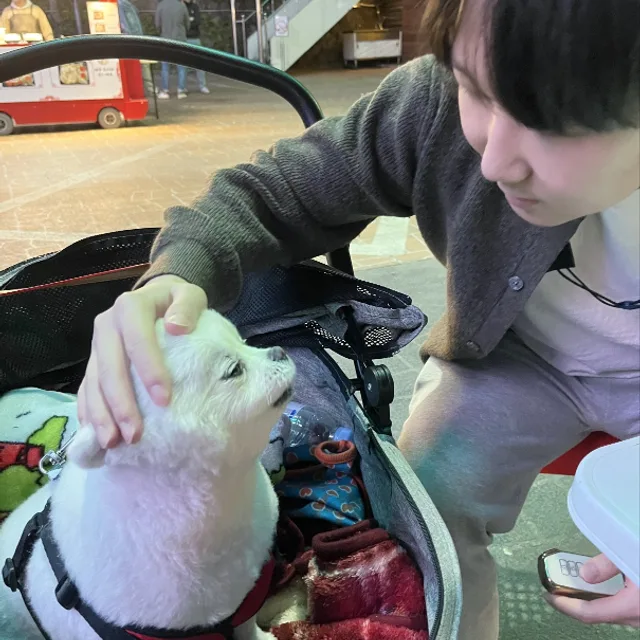 아지