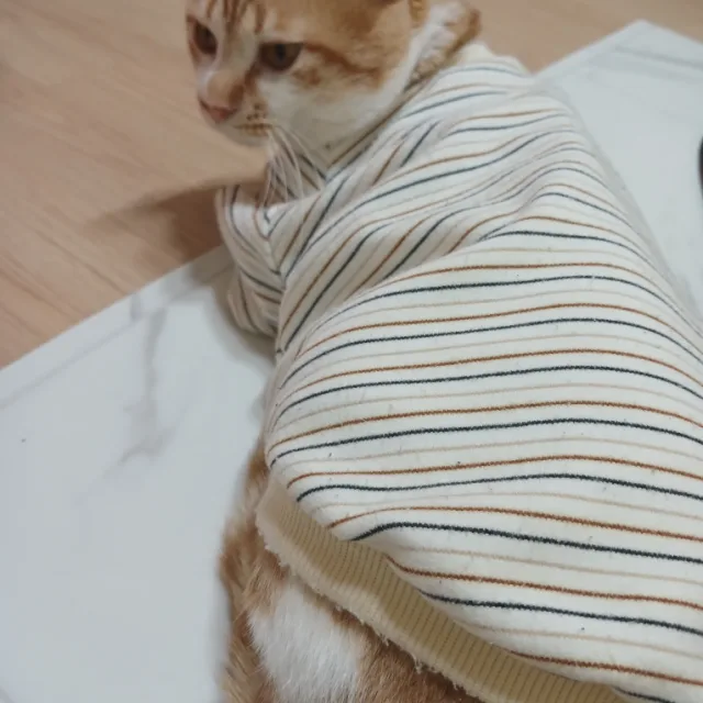 복길아
