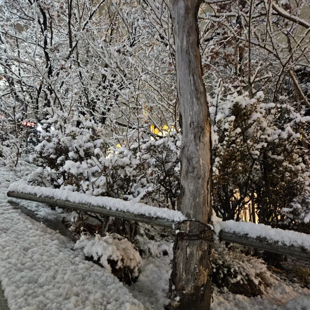 잘살아보세