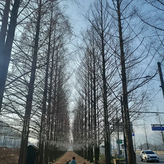 토토